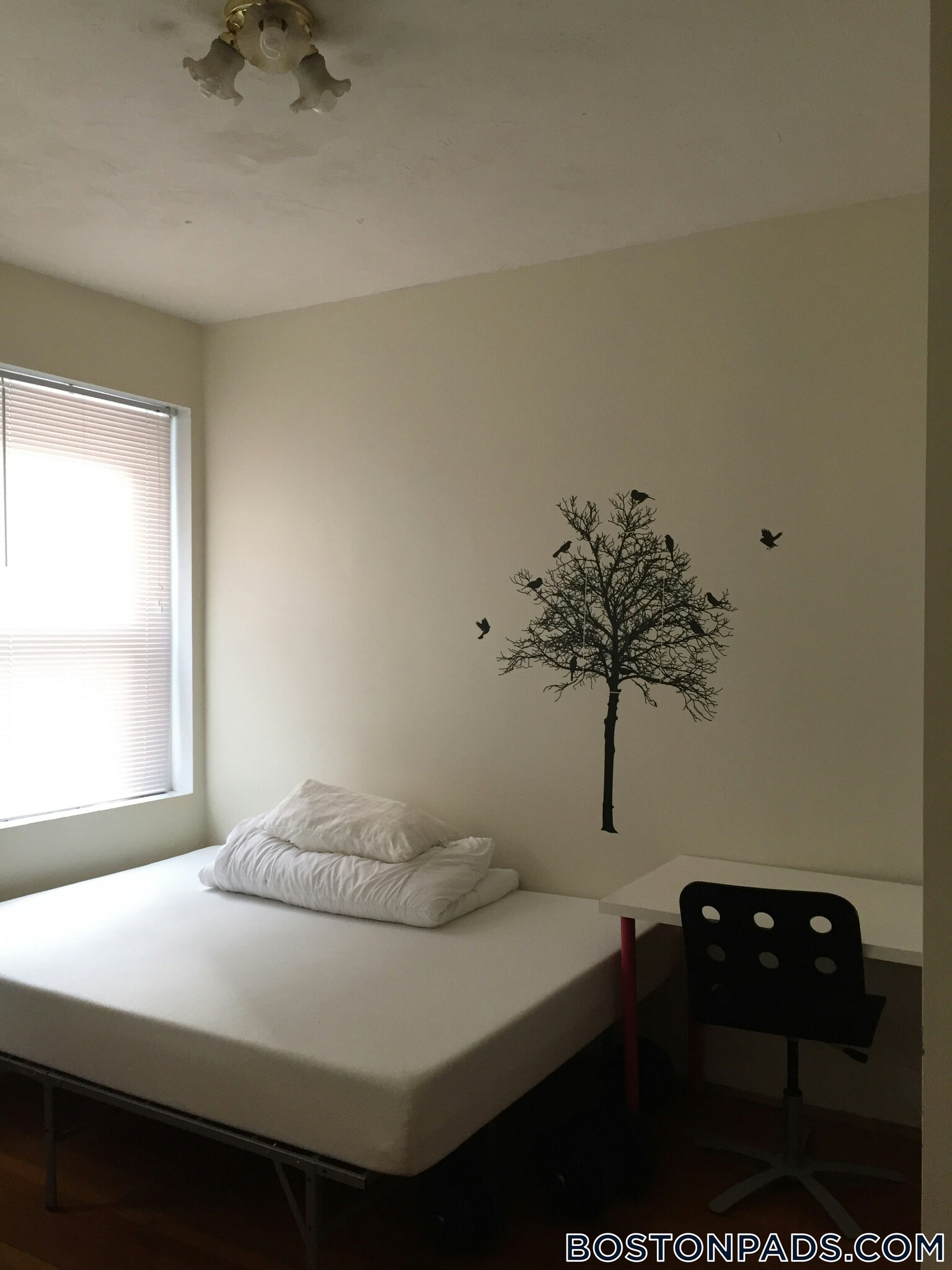 Building Photo - 103 Gordon St