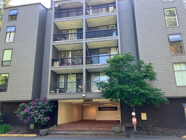 Primary Photo - Fully Renovated Redmond 1 Bedroom