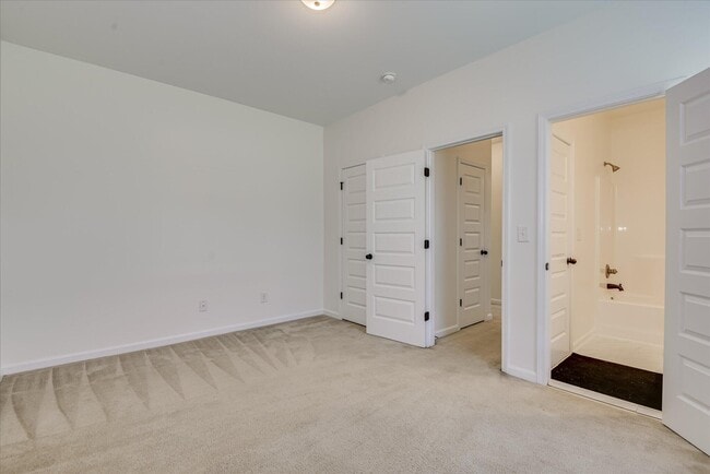 Building Photo - 873 Rollo Domino Cir
