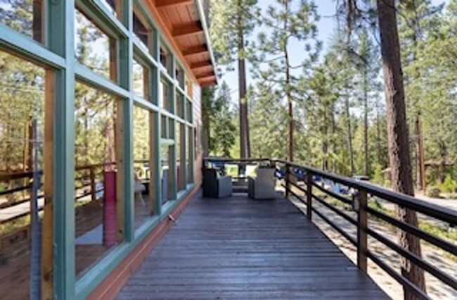 Building Photo - Cozy Cabin in Idyllwild