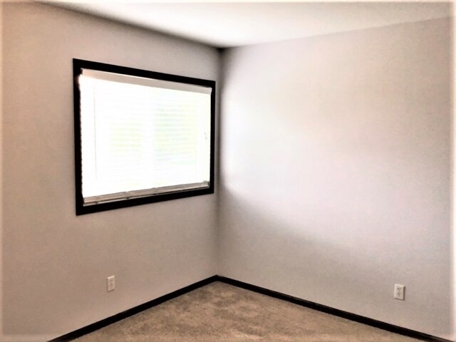 Building Photo - 1336 Fremont St