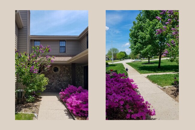 Building Photo - 348 Willow Grove Dr