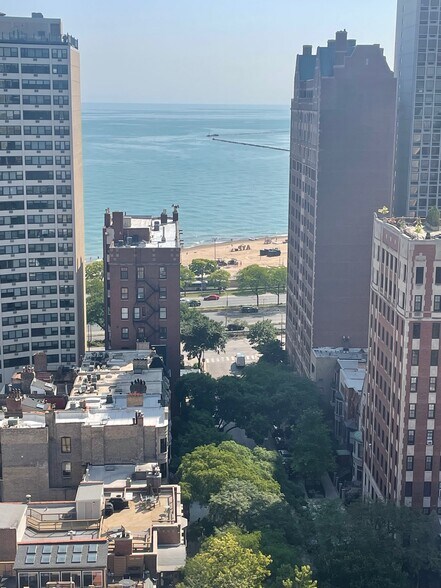 roof view of lake MI - 30 E Elm St