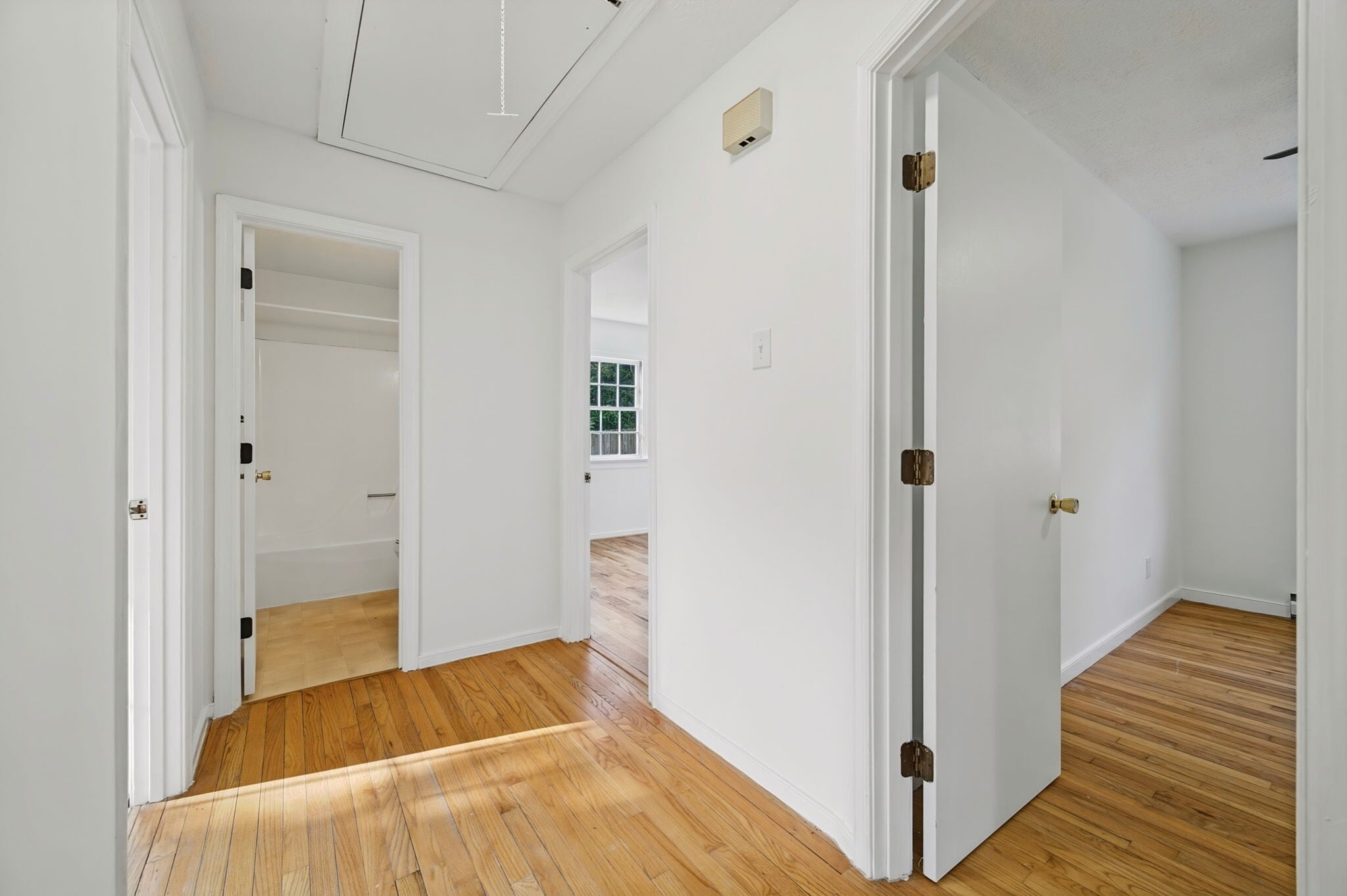 Building Photo - 300 Marlin Dr