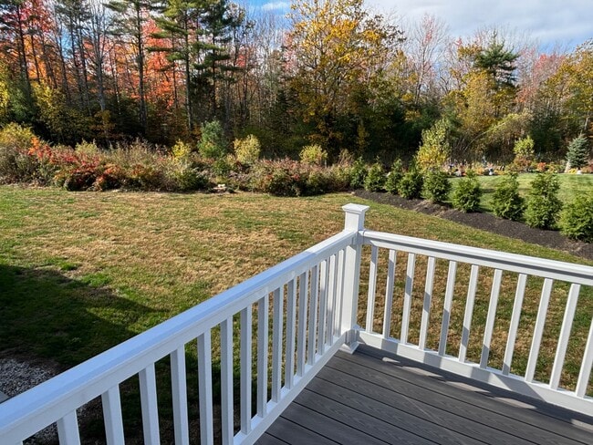 back yard - 102 Sycamore Ln