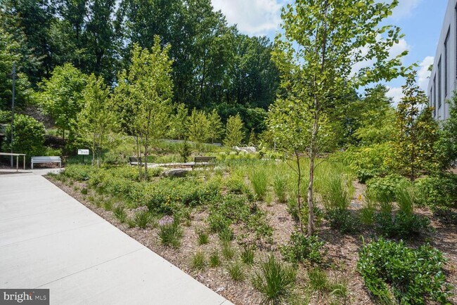 Building Photo - 7887 Jones Branch Dr
