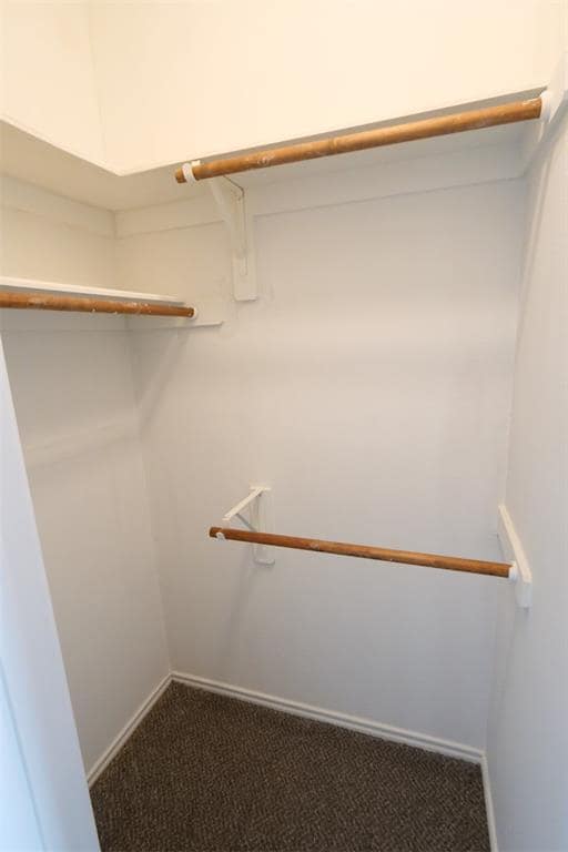 Building Photo - 6123 Summerfield Glade Ln