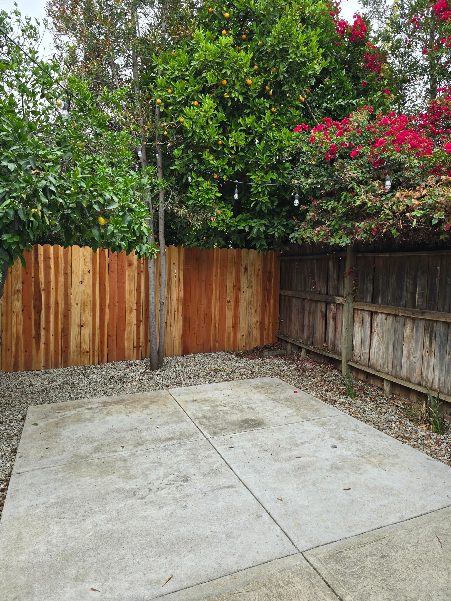 Building Photo - 708 Palisade St
