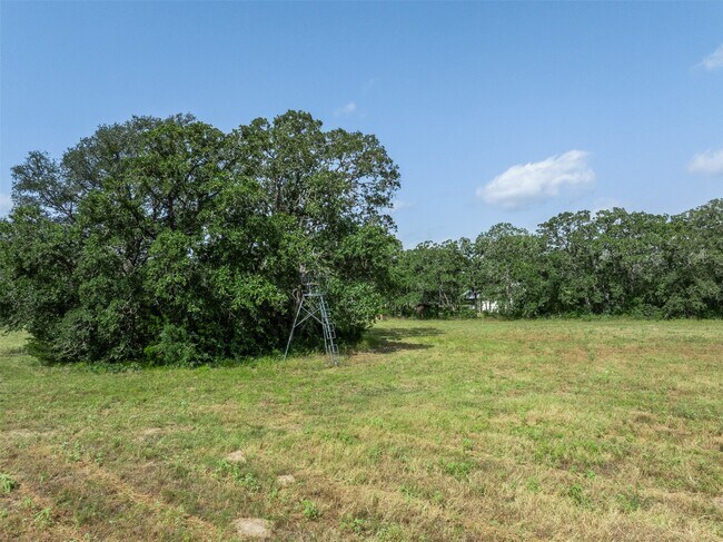 Building Photo - 6811 Mockingbird Rd