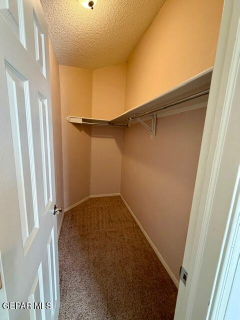 Building Photo - 12409 Paseo Alegre Dr