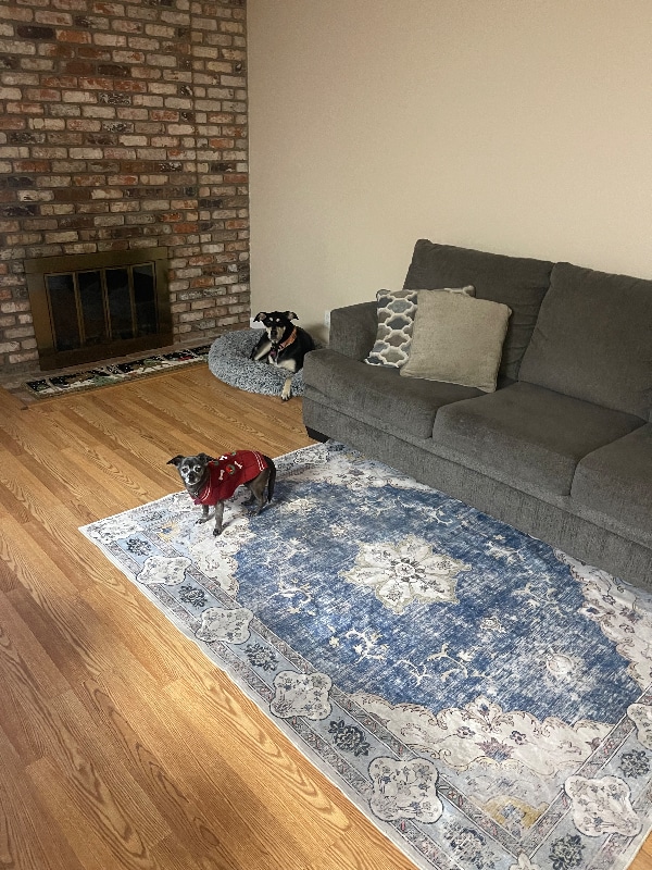 Building Photo - 1204 Woodflower Way