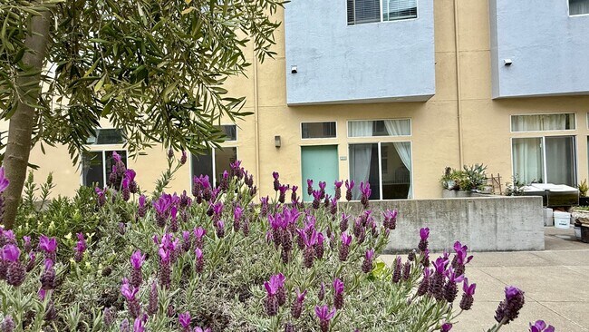 Building Photo - Urban Oasis on Valencia St – 2BR/1BA with ...