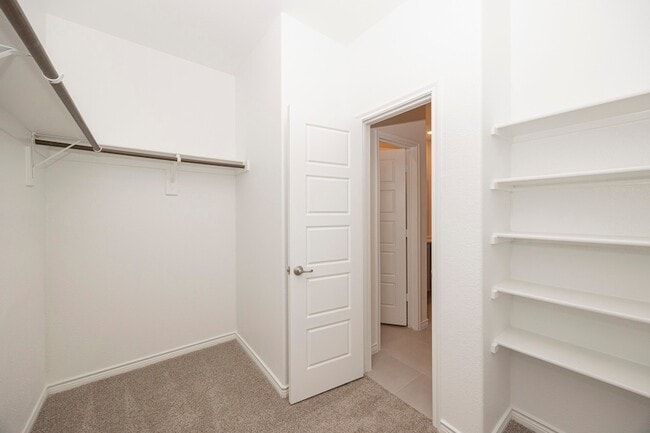 Building Photo - 1001 Marigold St