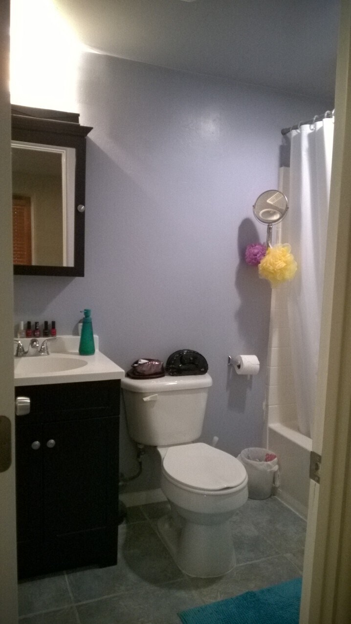 Bathroom - 4770 55th St
