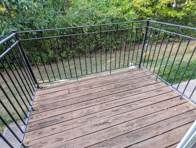 Building Photo - AVAILABLE NOW! Luxurious and Modern 3-4 Be...