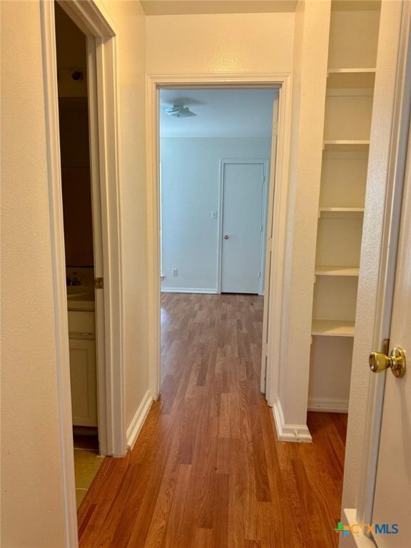 Building Photo - 107 Axis Deer Trail