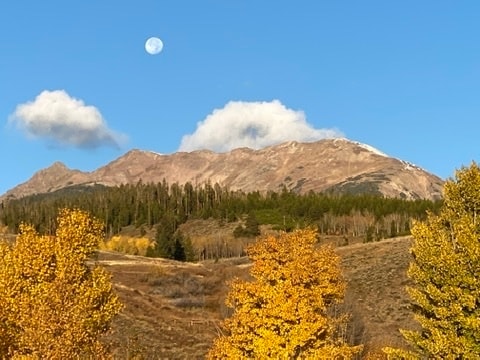 Hiking trails steps away - 330 W 4th St