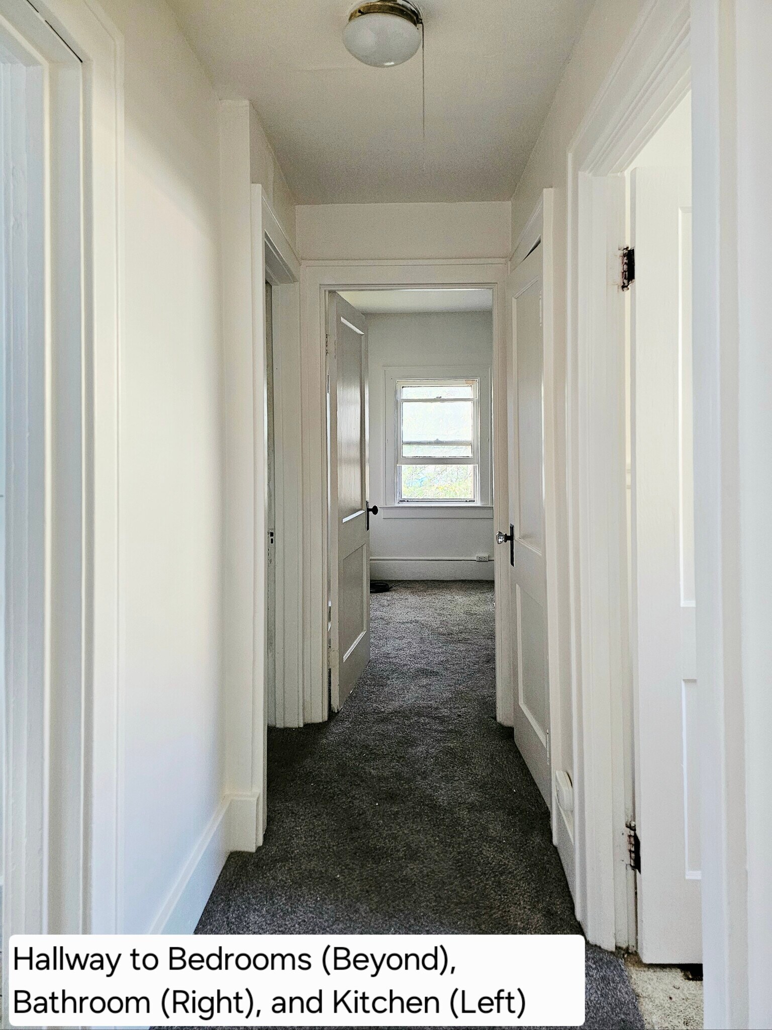 Building Photo - 148 Nassau Ave