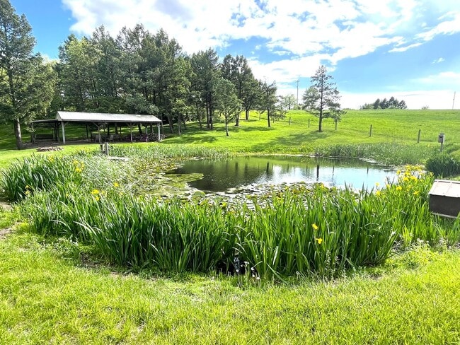 Building Photo - Spacious 4BR/3.5BA Single Family Home on 2...