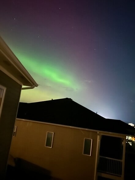 Building Photo - 1545 Capri Ct