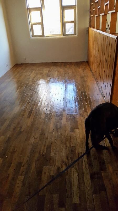 Building Photo - 126 Fiesta St