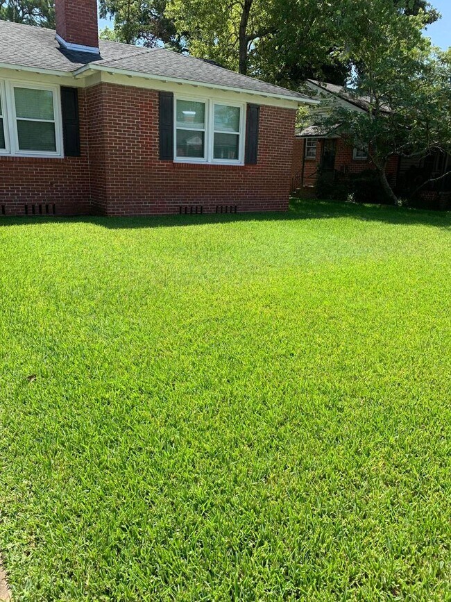 Building Photo - Charming 2/1 in the heart of St. Nicholas