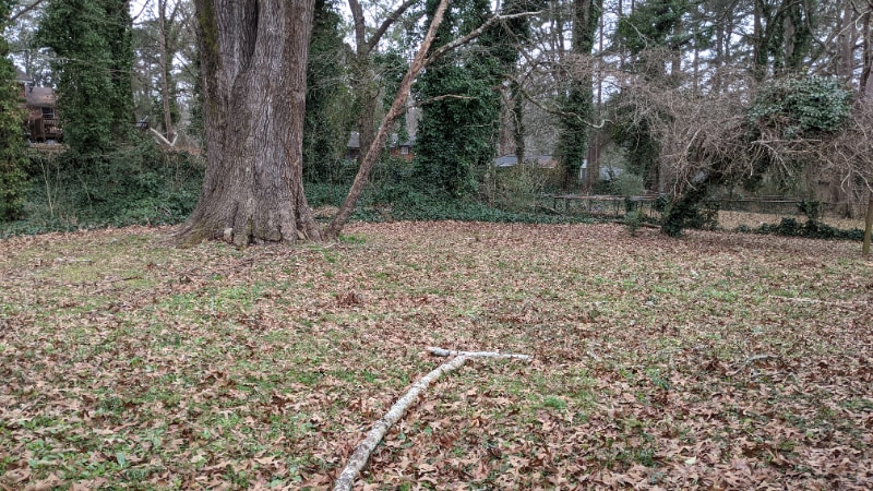 Building Photo - 2417 Ousley Ct