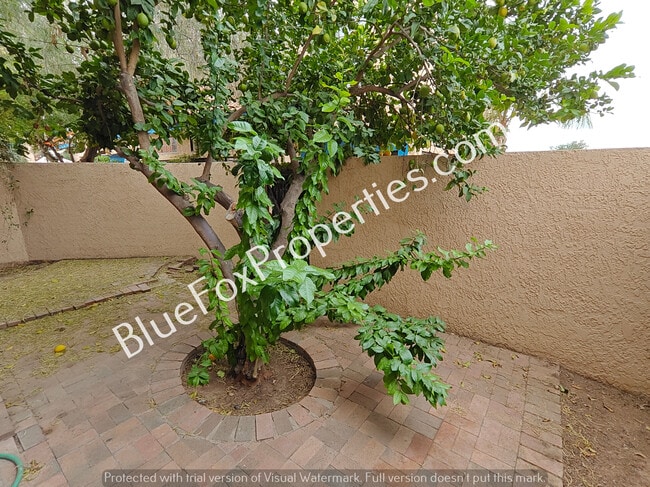 Building Photo - 254 E Pastime Rd