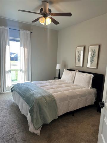 Building Photo - 6617 Cedar Elm Dr