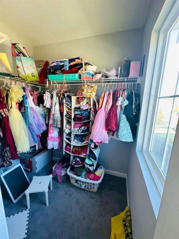 Building Photo - 8035 Stiner Grv