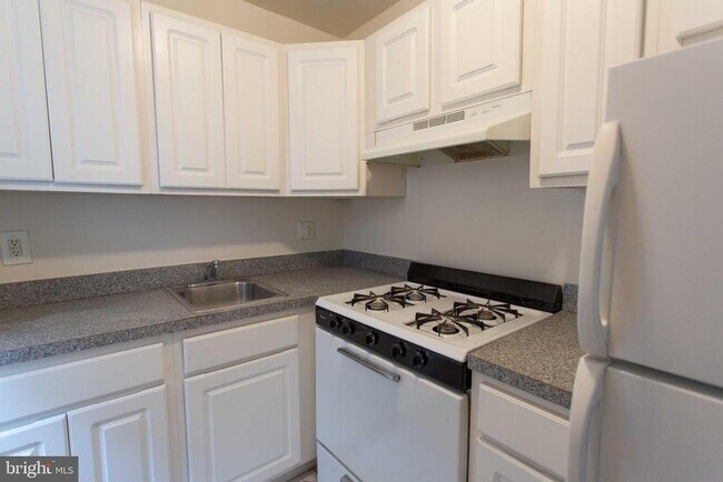 Building Photo - 526 Spruce St