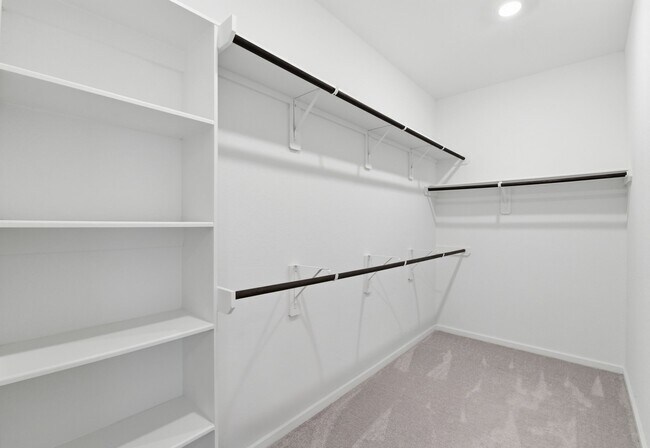 Building Photo - 4264 Waterlily Spg Wy