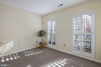 Building Photo - 409 Phelps St