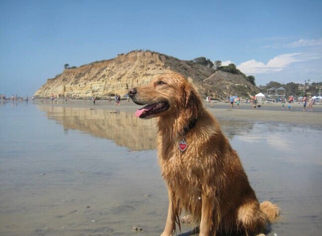 Building Photo - 135 S Sierra Ave