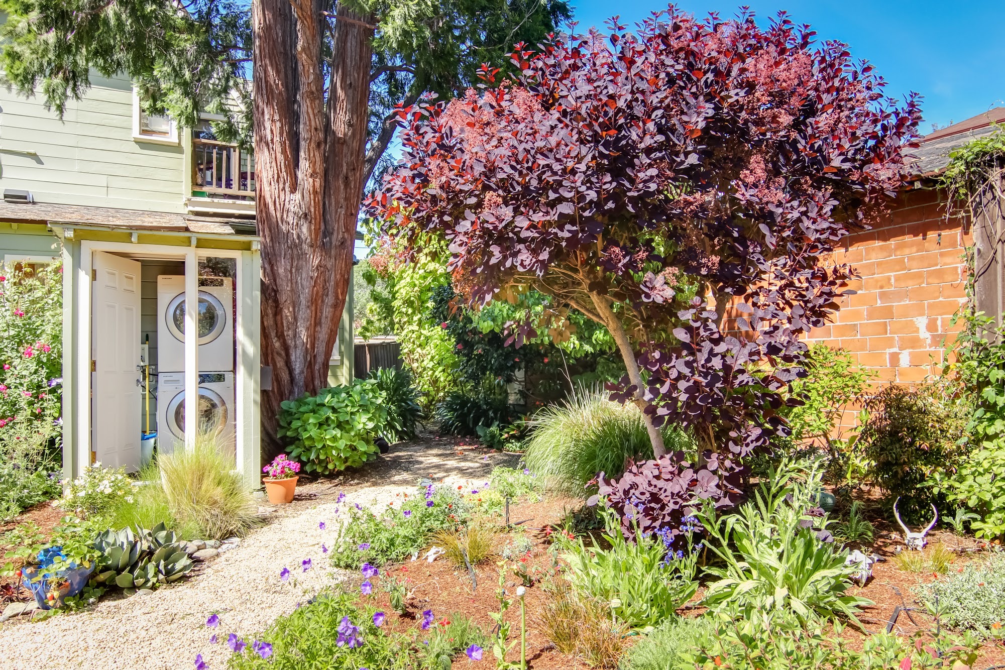 big garden with free laundry room - 1836 Francisco St