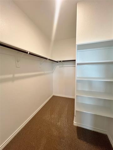 Building Photo - 5021 Chital Dr
