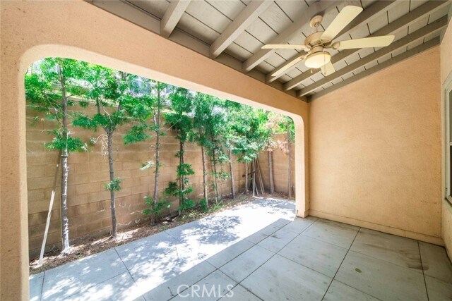 Building Photo - 33 Bromeliad