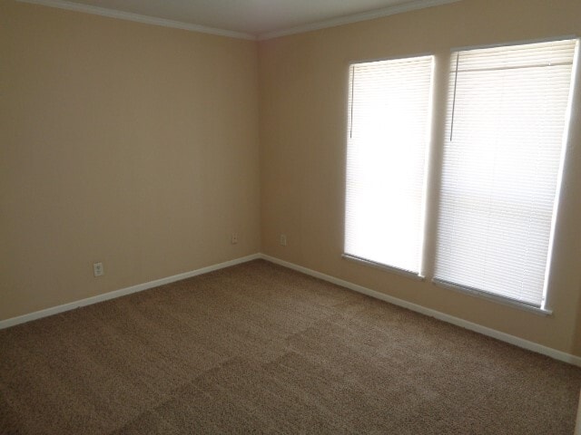 Building Photo - 10015 Summerberry Ln