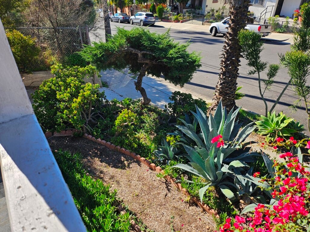 Building Photo - 1442 Lake Shore Ave