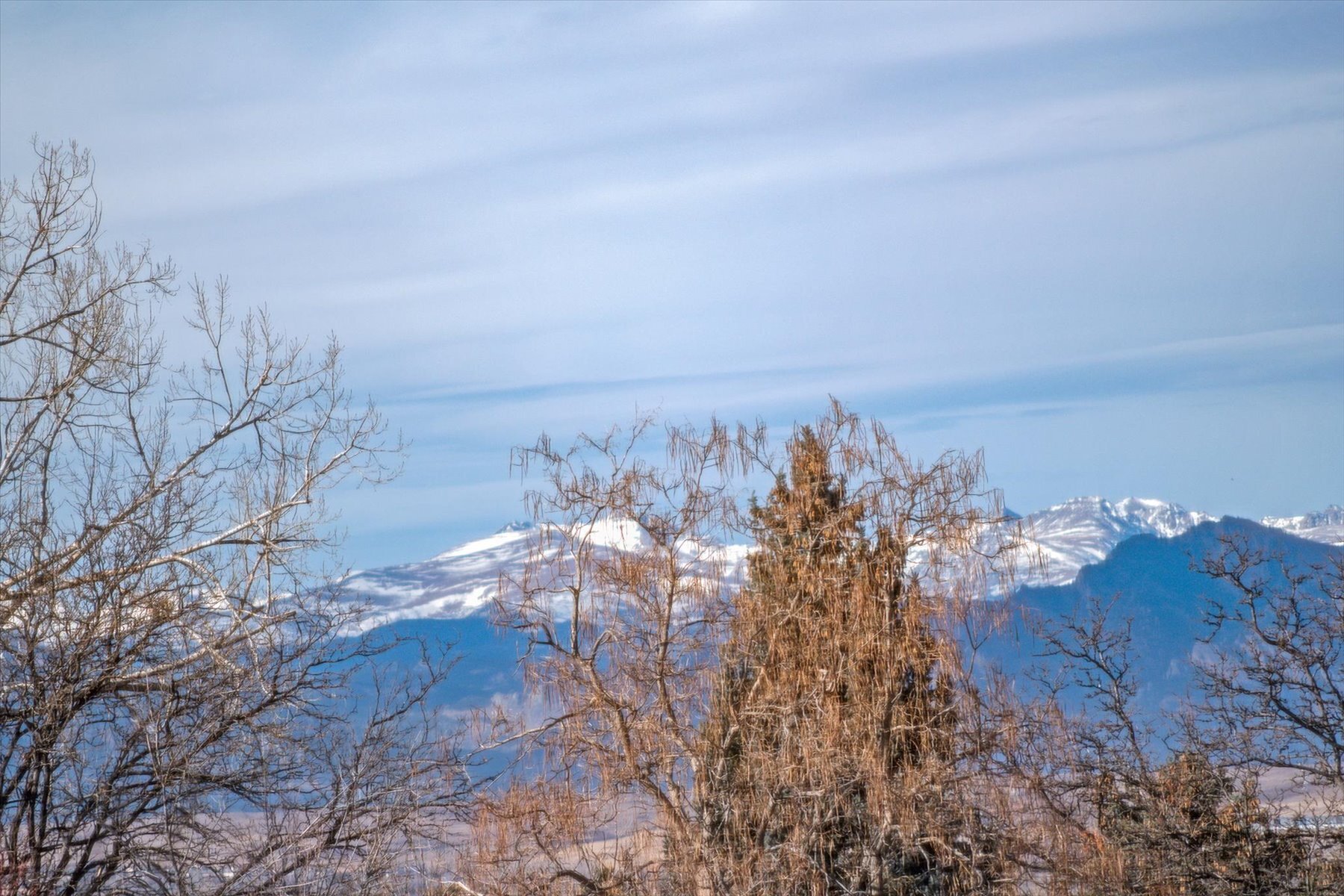 Building Photo - 9515 Lowell Blvd