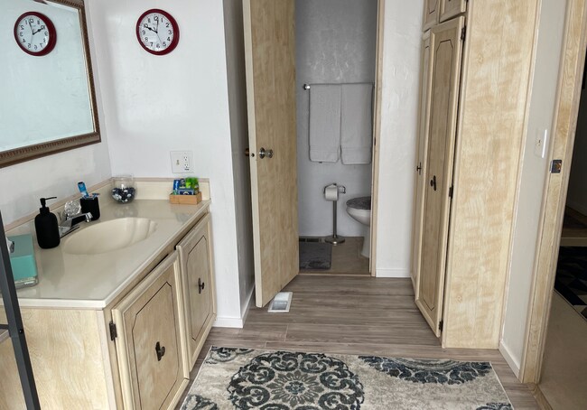 Master Bathroom - 35239 Bandana Cir