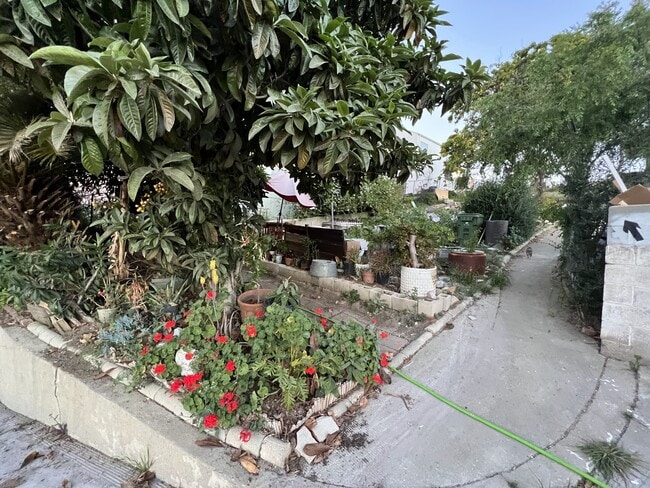 Common Outdoor Garden - 3123 Minnesota St