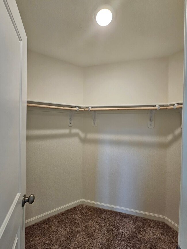 Building Photo - Lemmon Valley Stunner - Brand New Everything