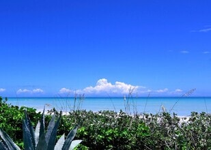 Building Photo - Oceanfront Walk-Out Condo