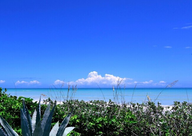 Primary Photo - Oceanfront Walk-Out Condo