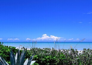 Building Photo - Oceanfront Walk-Out Condo