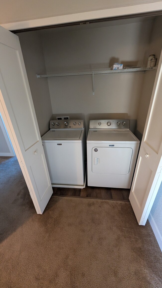 Building Photo - 1156 Montevideo Cir