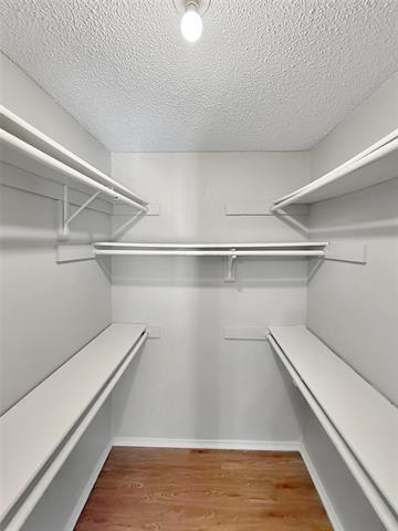 Building Photo - 10205 Lone Pine Ln