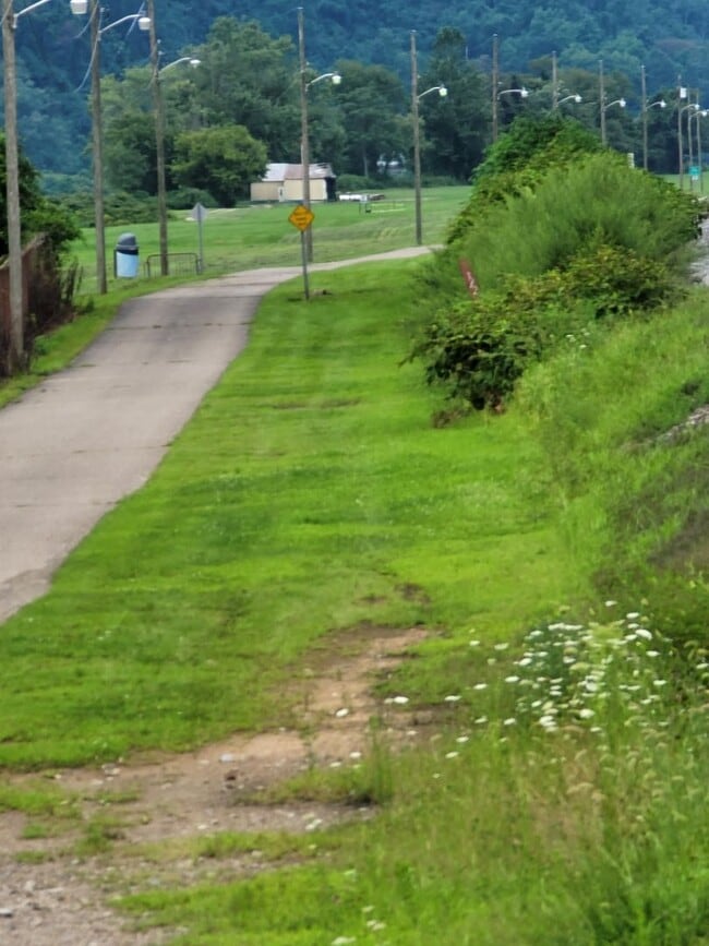 Building Photo - Willow View Townhouses