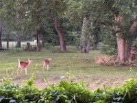 Building Photo - 2011 Miller Rd